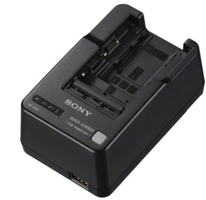 Sony BCQM1 Charger W M V H P Series Batteries