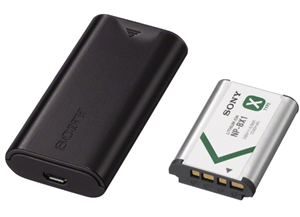 Sony ACC-TRDCX X Type Battery and Charger