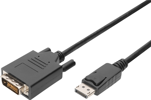 Digitus DisplayPort (M) to DVI-D (M) 2m Monitor Cable – Cables - Monitor & Video | ACP Online