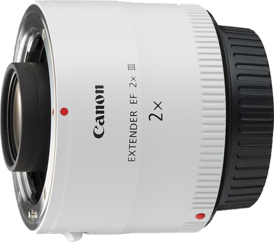 Canon EF 2x III Extender – Digital SLR & M/less Lenses | ACP Online