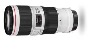 Canon EF 70-200mm f/4L IS II USM EF Mount Lens