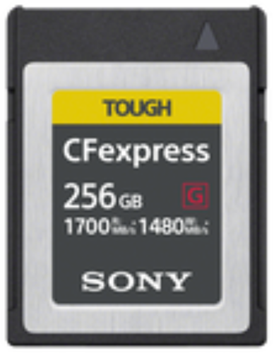 Sony CEBG256 Tough CFexpress Type B 256GB Memory Card – Memory - Flash Cards | ACP Online