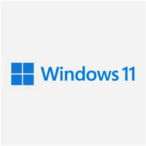 Microsoft Windows 11 Pro - OEM