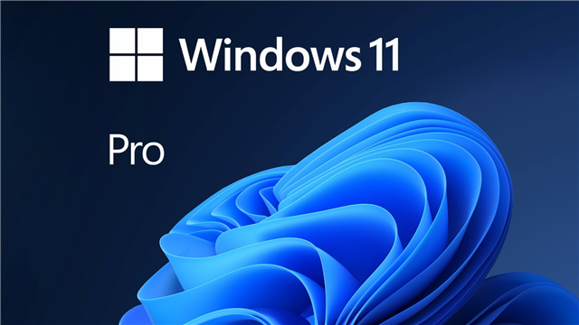 Microsoft Windows 11 Pro 64Bit OEM – Software - Operating Systems | ACP Online