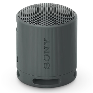 Sony SRSXB100H Wireless Speaker Grey