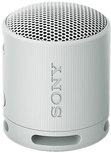 Sony SRSXB100H Wireless Speaker Grey – Speakers | ACP Online