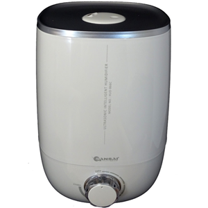 Sansai Ultrasonic Cool Mist Humidifier